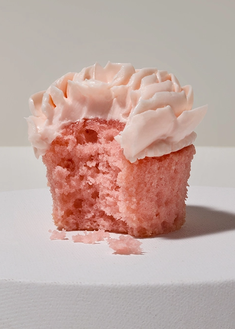 cupcake bite